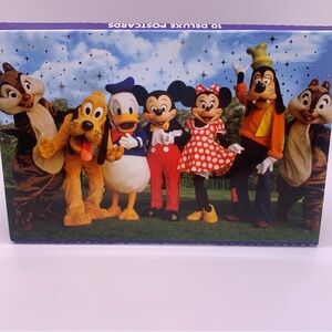 New Disney Parks Mickey and Friends Collectible Deluxe Color Postcard Set of 10